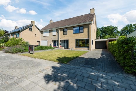 undefined main image