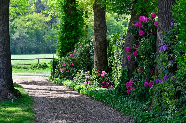 Foto 44 van Garderenseweg 413