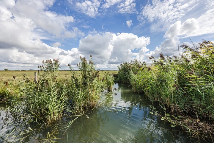 Photo 81 of Voorstraat 10