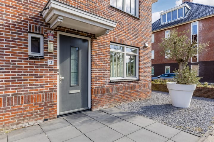 Foto 2 van Rugstreeppad 12