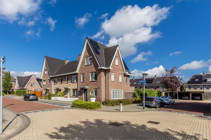 Foto 4 van Rugstreeppad 12