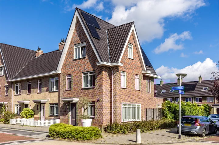 Foto 5 van Rugstreeppad 12