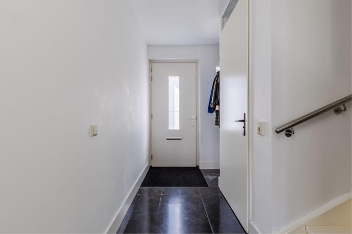 Foto 7 van Rugstreeppad 12