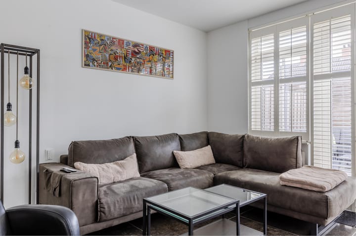 Foto 9 van Rugstreeppad 12