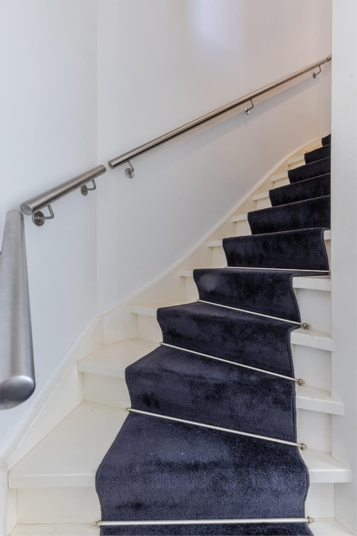 Foto 20 van Rugstreeppad 12