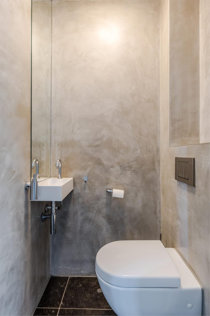 Foto 21 van Rugstreeppad 12