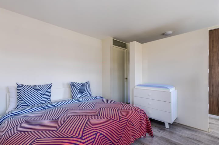 Foto 24 van Rugstreeppad 12