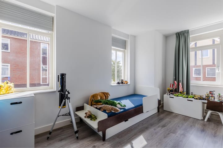 Foto 26 van Rugstreeppad 12