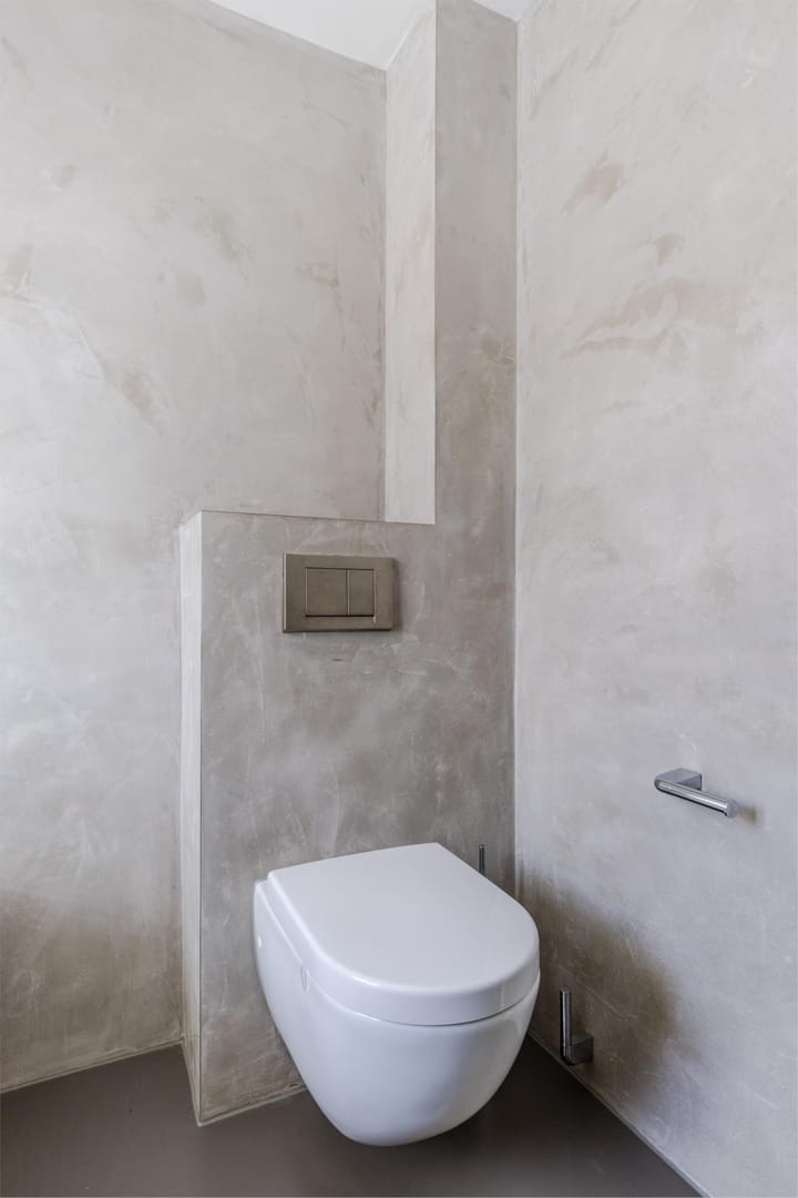 Foto 32 van Rugstreeppad 12