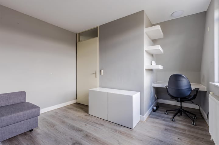 Foto 33 van Rugstreeppad 12