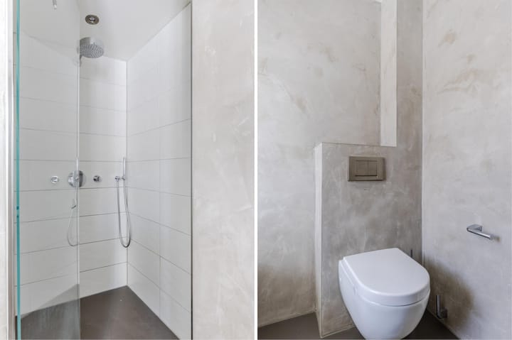 Foto 34 van Rugstreeppad 12