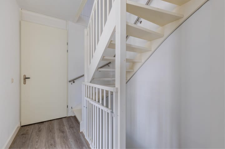 Foto 35 van Rugstreeppad 12