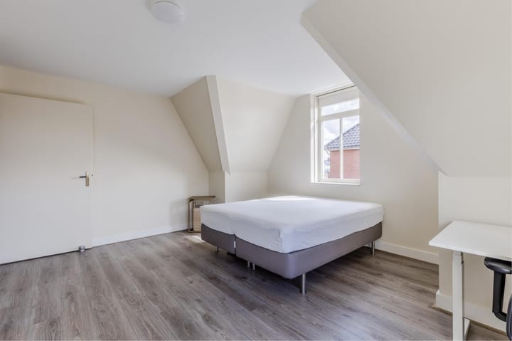 Foto 37 van Rugstreeppad 12