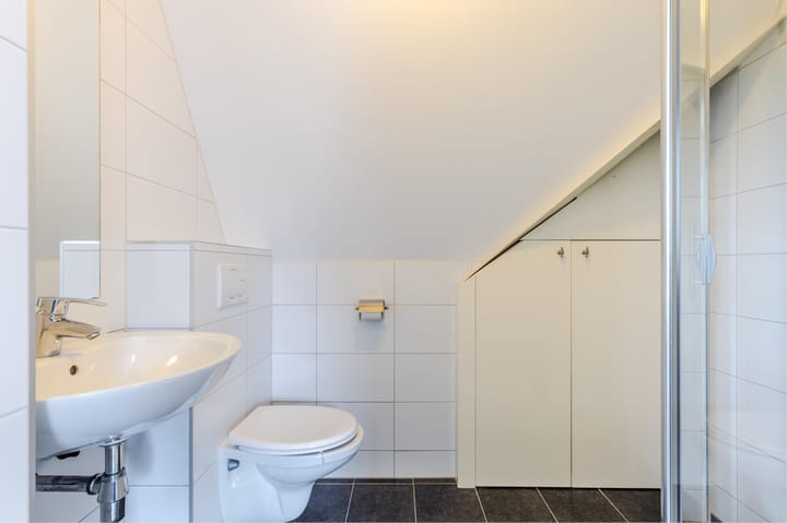 Foto 38 van Rugstreeppad 12