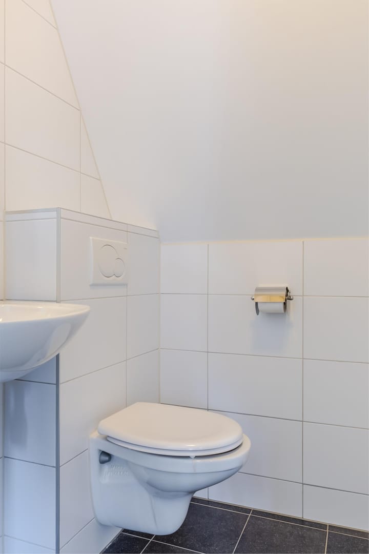 Foto 39 van Rugstreeppad 12