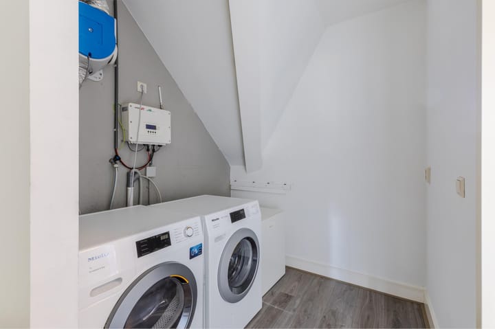 Foto 42 van Rugstreeppad 12