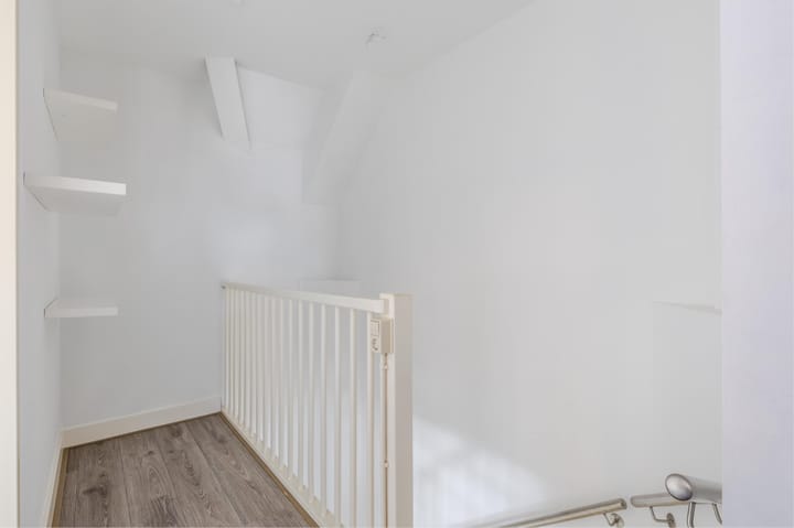 Foto 43 van Rugstreeppad 12