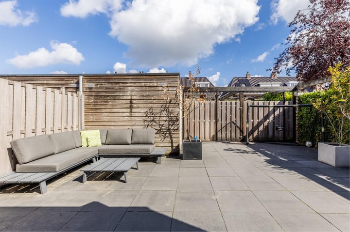 Foto 44 van Rugstreeppad 12