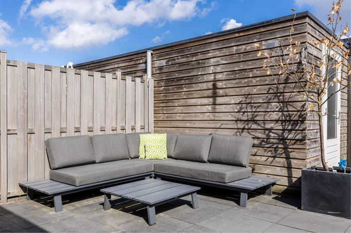 Foto 45 van Rugstreeppad 12