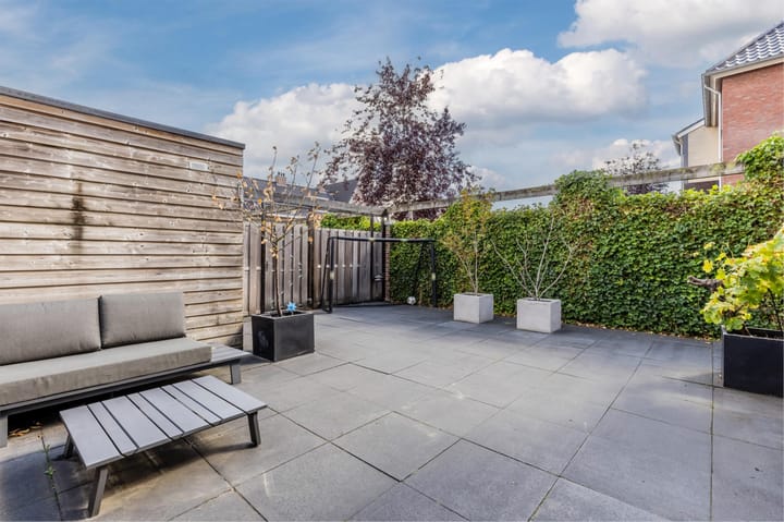 Foto 46 van Rugstreeppad 12