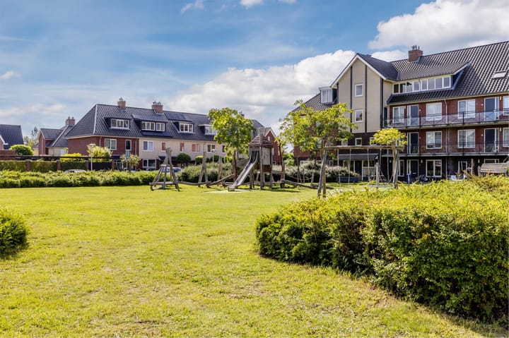 Foto 49 van Rugstreeppad 12