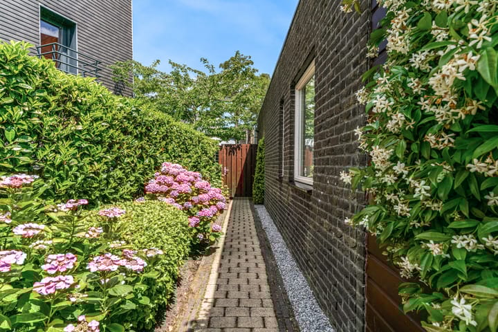 Photo 40 of Rode Ring 187