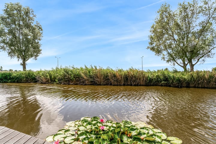 Photo 50 of Rode Ring 187