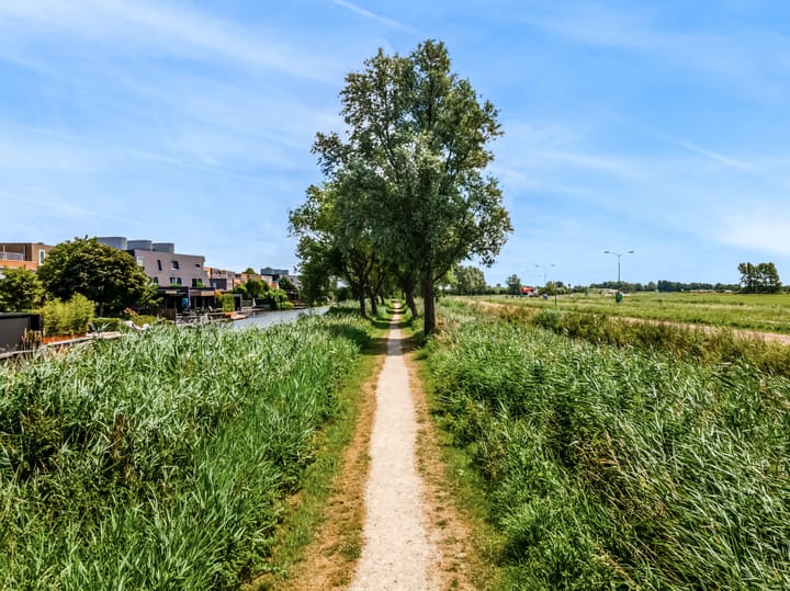 Photo 51 of Rode Ring 187