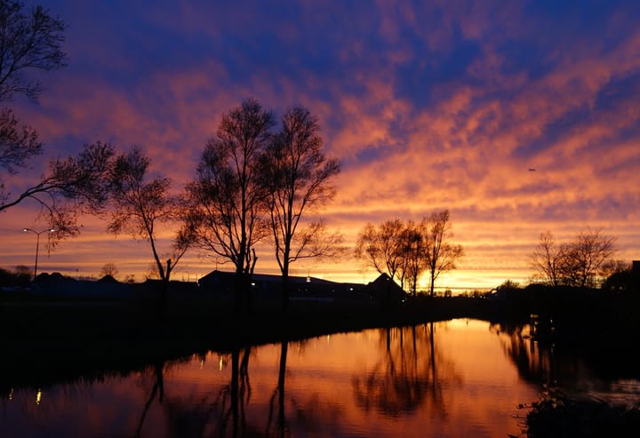 Photo 53 of Rode Ring 187