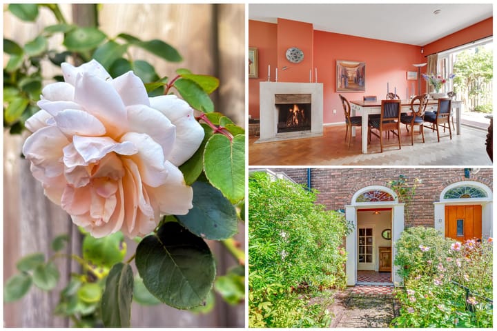 Foto 6 van Moerbeilaan 41