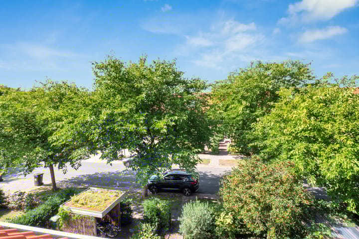 Foto 29 van Moerbeilaan 41