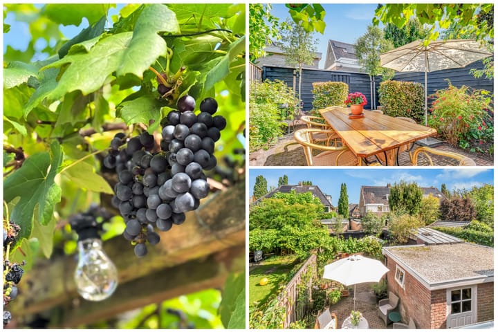 Foto 39 van Moerbeilaan 41