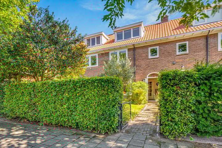 Foto 45 van Moerbeilaan 41