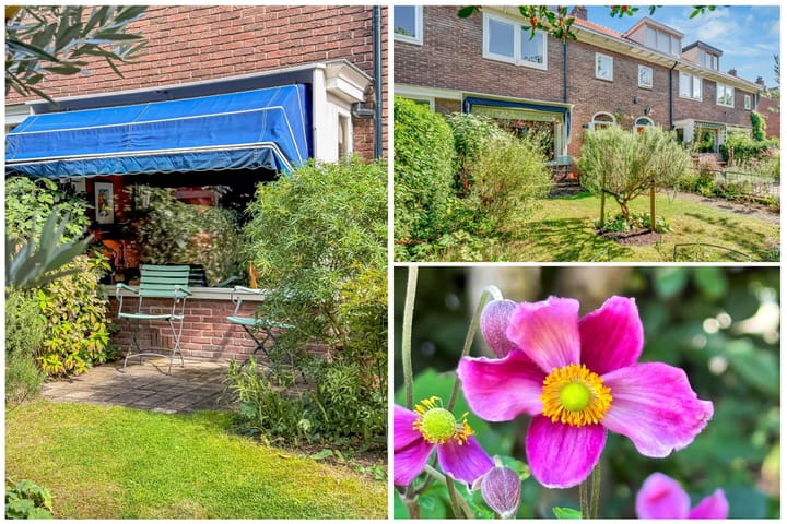 Foto 46 van Moerbeilaan 41