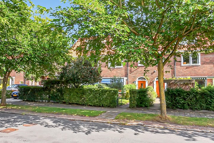 Foto 48 van Moerbeilaan 41