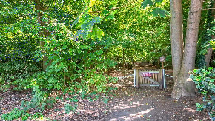 Foto 54 van Moerbeilaan 41