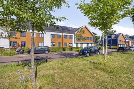 undefined main image