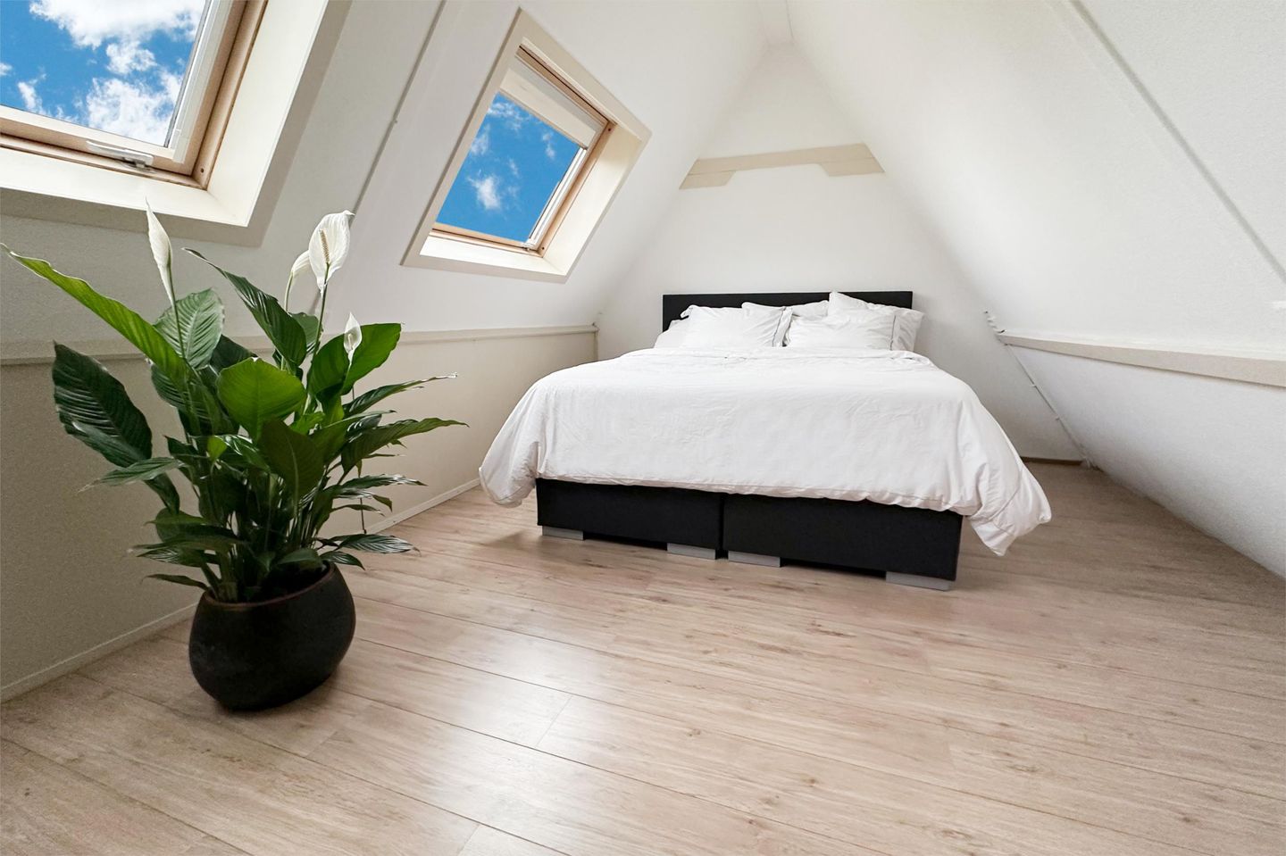 Foto 34 van De Bazelweg 36