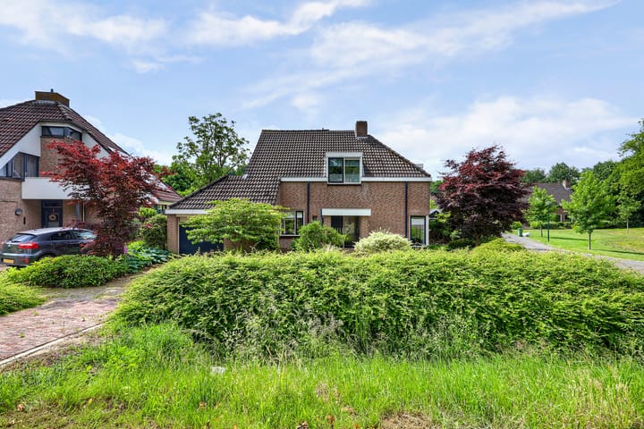 Photo 6 of Everdrift 2