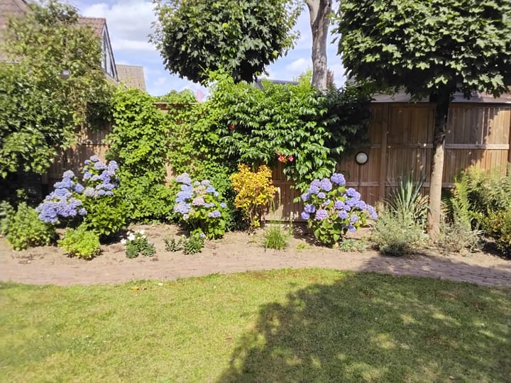 Photo 53 of Everdrift 2