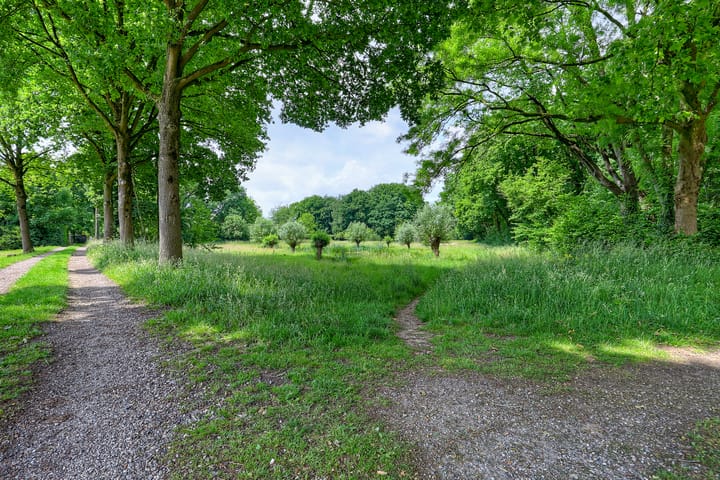 Photo 55 of Everdrift 2