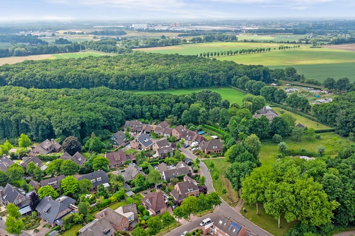 Photo 56 of Everdrift 2