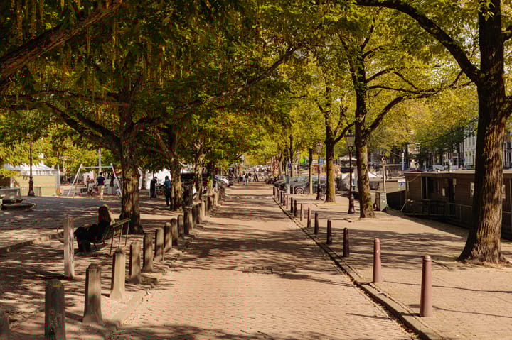 Foto 20 van Falckstraat 33