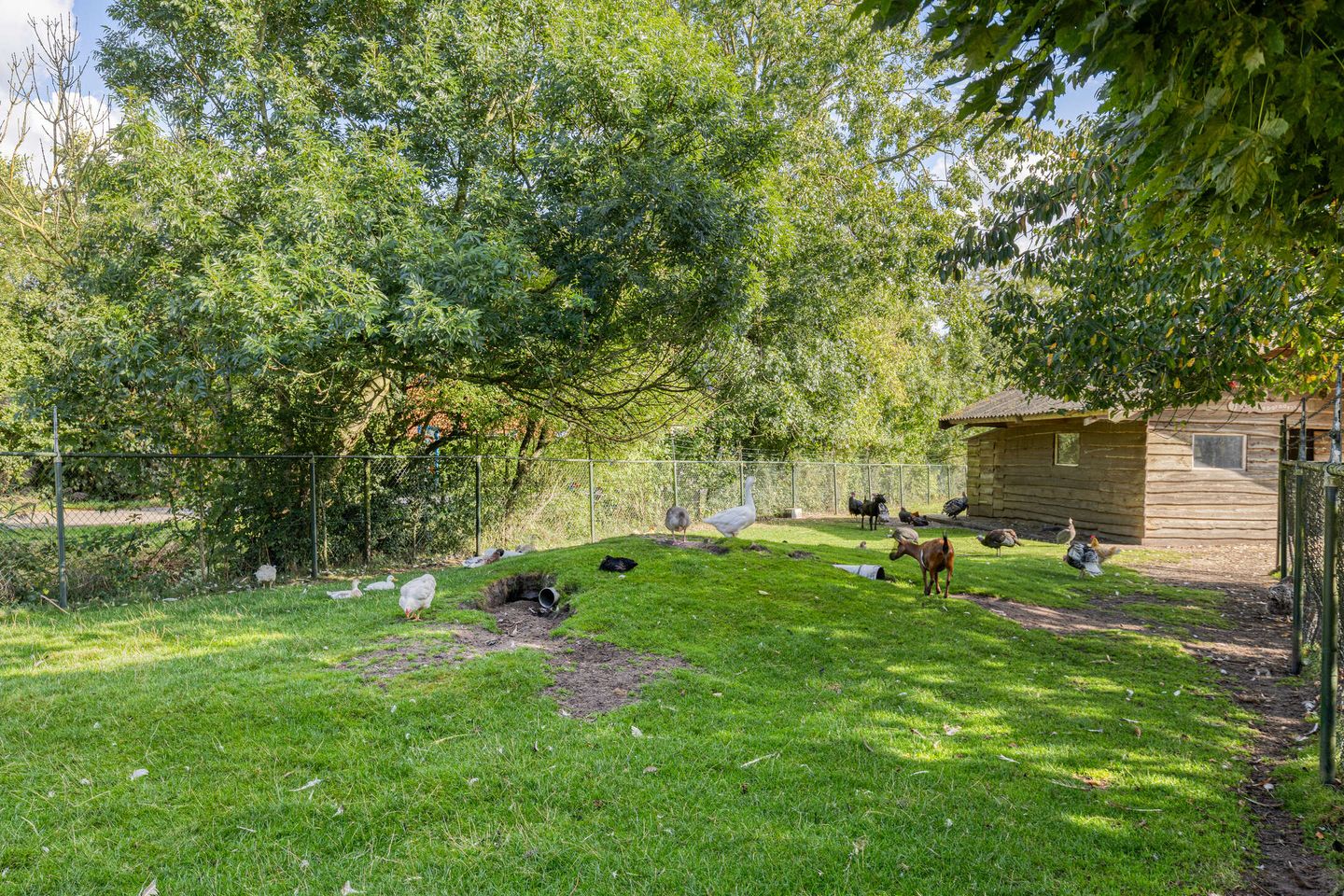 Foto 49 van Fallaetswei 1-A