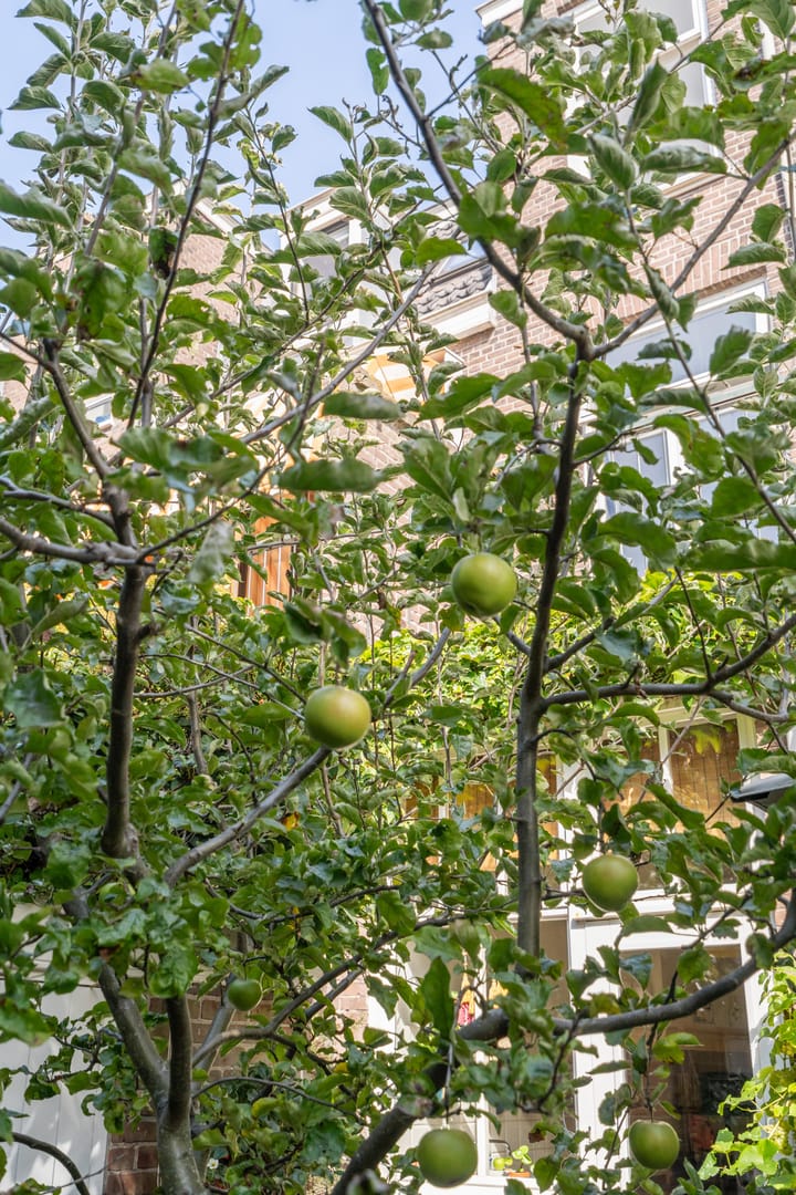 Foto 20 van Beeklaan 502