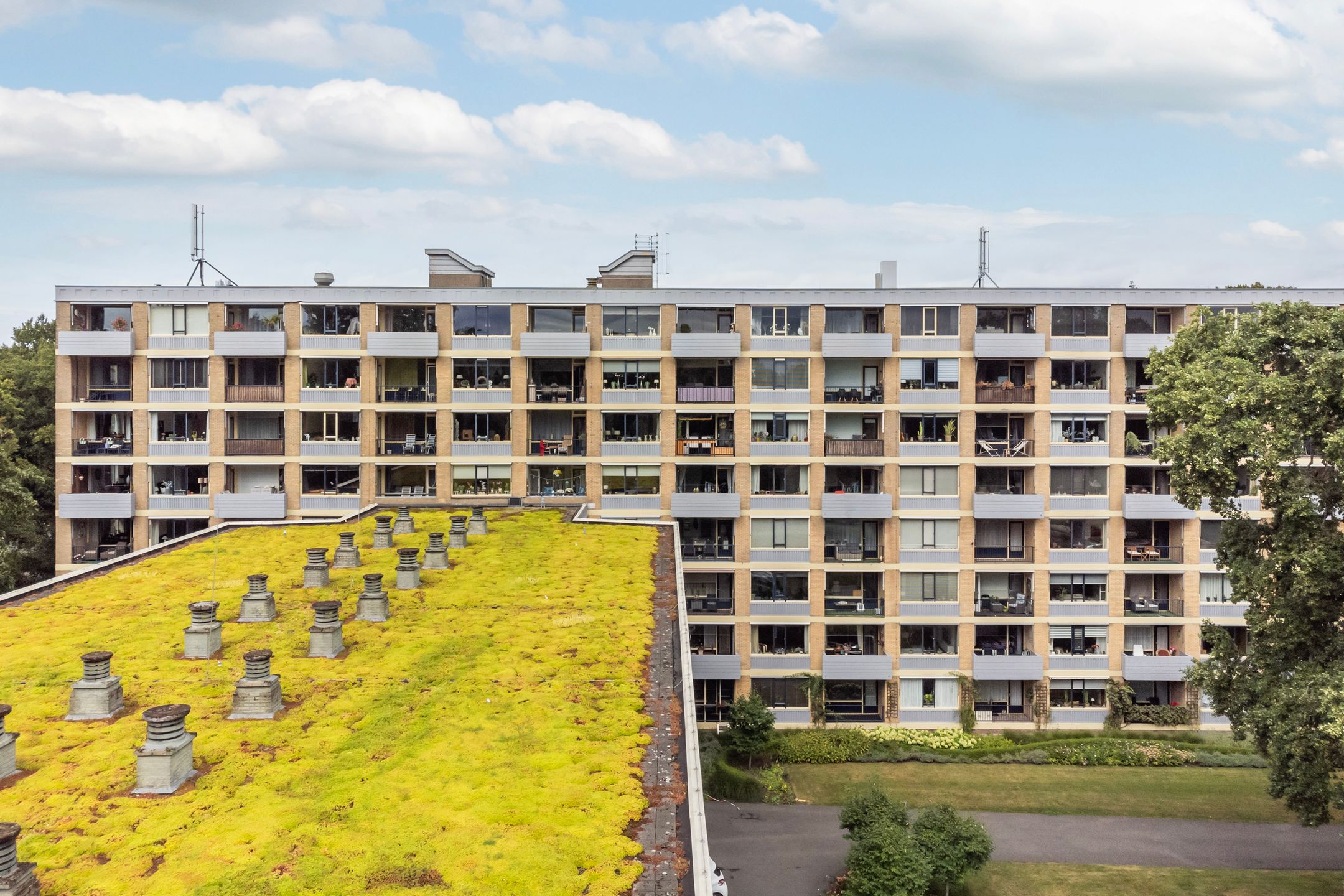 Foto 21 van Rozenhof 94