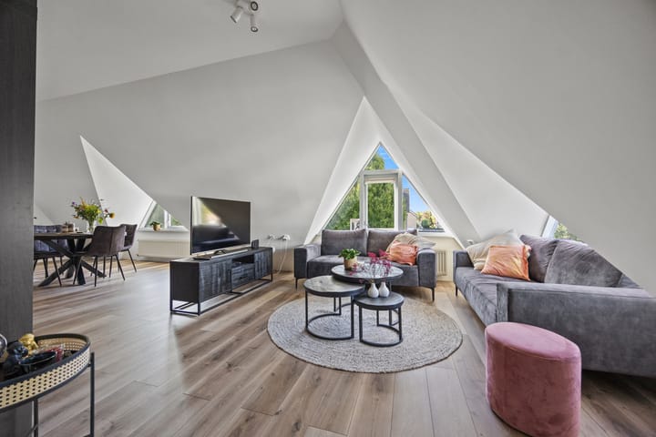 Foto 2 van Hugo de Grootstraat 35-C