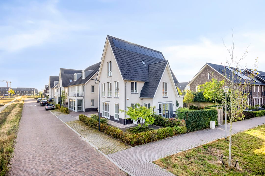 Foto 1 van Palissander 2