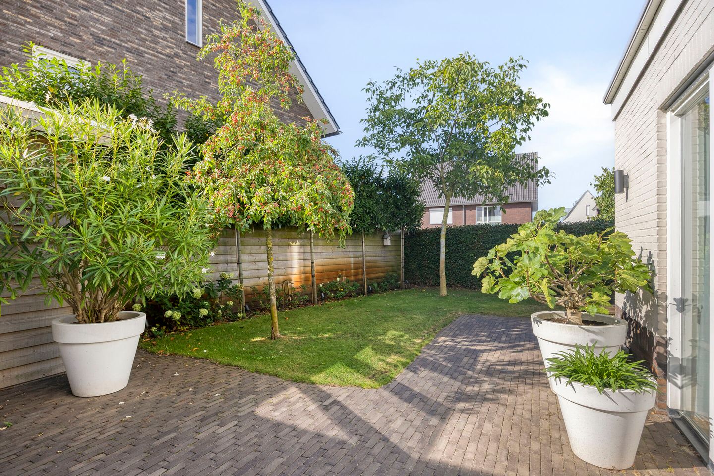 Foto 34 van Palissander 2