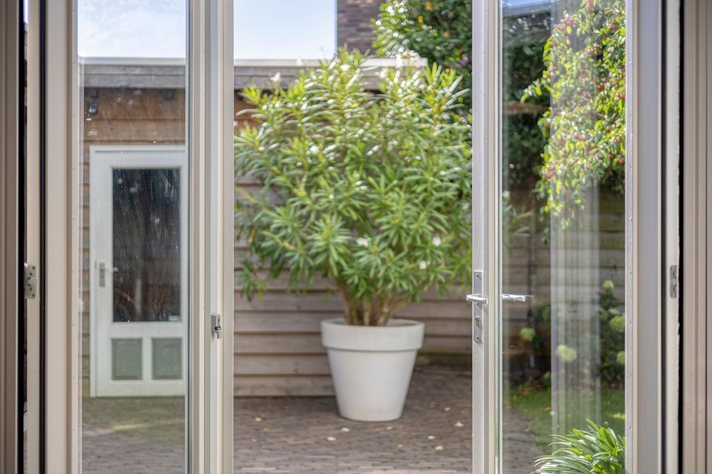 Foto 35 van Palissander 2